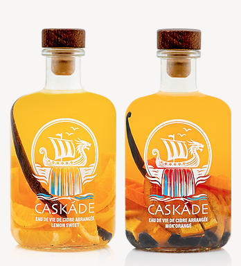 Capture d’écran 2025-05-08 à 13.25.34